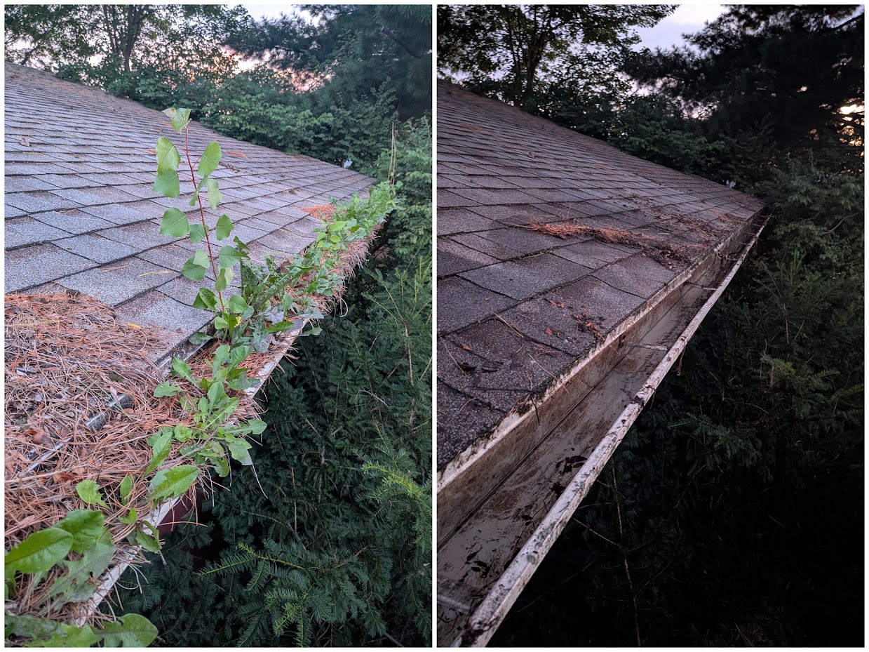 Before and after photos of roof debris and a cleared gutter edge